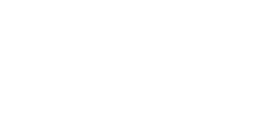 Jobway LOGO white
